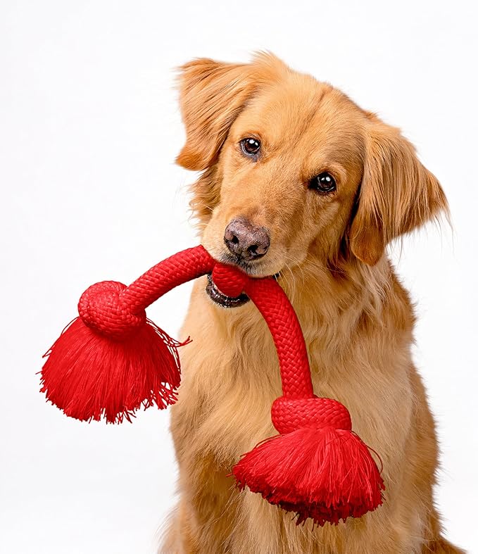 Playology Rope Toys for Dogs | Tug of War Dog Toy for Aggressive Chewers | Peanut Butter/Beef Scented Dog Toys | Medium Rope Toy for Interactive Play