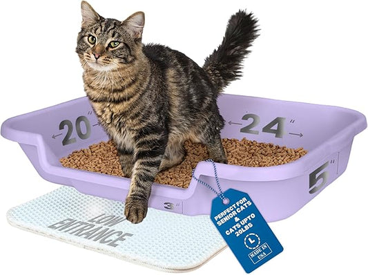 KittyGoHere Senior Cat Litter Box 1 Pack, Large Storybook Lavender Low Entrance Kitty Litter Box, Sized for Cats Comfort, Perfect for Senior and Arthritic Cats, Made in USA