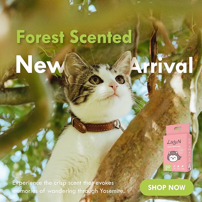 Lady N Granular Tofu Cat Litter Mini-Pellet Compatible with Automatic Self-Cleaning Cat Litter Box, Premium Clumping Ultra Absorbent, Low Tracking, Odor Control 9lb Yosemite Scent