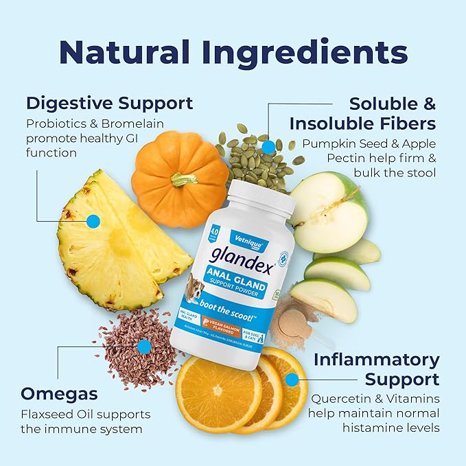 Vetnique Labs Glandex Dog Fiber Supplement Powder for Anal Glands with Pumpkin, Digestive Enzymes & Dog Probiotics for Digestive Health - Vet Recommended - Boot The Scoot (Vegan Salmon, 4.0oz Powder)
