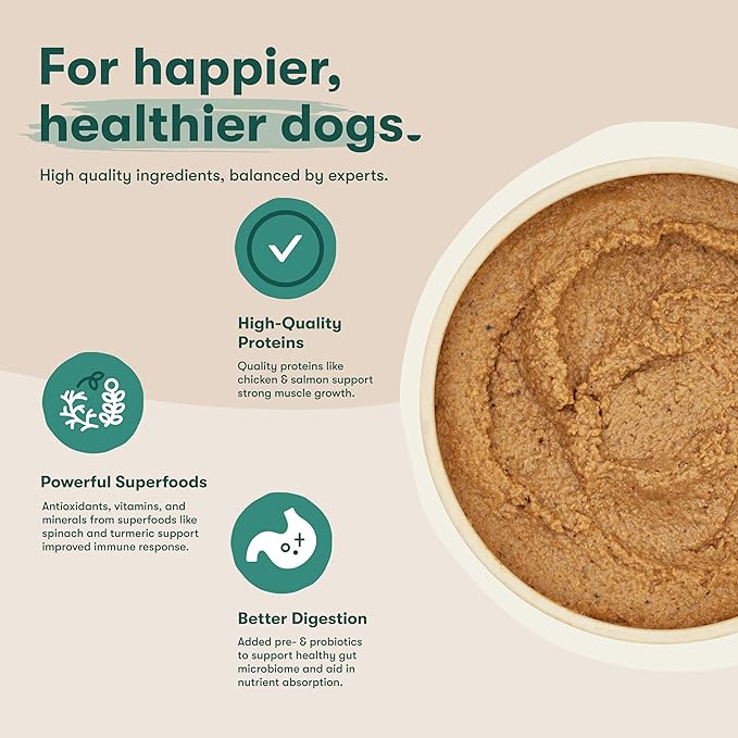 Jinx Premium Wet Dog Food Cans, Variety Pack - Salmon & Chicken Pate - Grain-Free Canned Dog Food Pate & Topper with Real Ingredients & No Fillers - All Life Stages, Breeds & Sizes - 12-Pack, 13 Oz