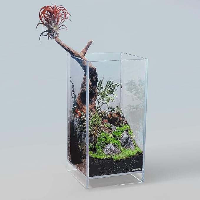 LANDEN Panna Natural Driftwood for Aquarium Decor Freshwater Fish Tank(12-14 inches, 30-35cm) 4pcs Terrariums Vivariums Reptile and Amphibian Enclosures Lizard Bearded Dragon Tortoise Various Shapes