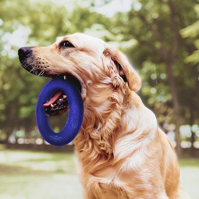 Tuff Pupper SuperChewy Tough Dog Ring Toy | Lifetime Replacement | Strong Natural Rubber | Chew Toys for Aggressive Chewers | Durable Tug Play | Strong Dog Ring Toy | Large Breed Tested