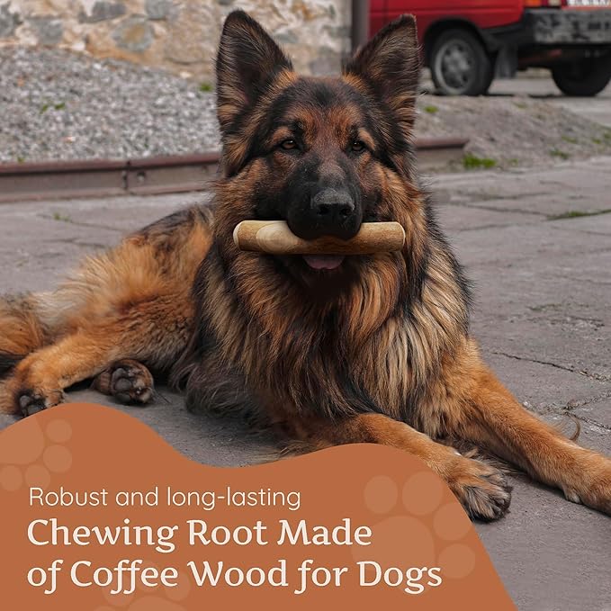 Wildfang® Coffee Wood Dog Chew, XL - Tough Chew Toys for Aggressive Chewers, Dog Teething Toys for Puppies, Training for Chewing Muscles, Coffee Tree Sticks for X-Large Dogs (Over 99 lbs)