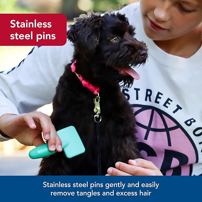 Coastal Pet Li'l Pals Dog Slicker Brush with Coated Tips - Dog Grooming Brush for Small Breeds & Puppies - One Size