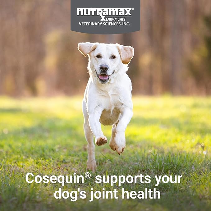 Nutramax Cosequin for Dogs Joint Health Supplement, Contains Glucosamine, Plus Chondroitin, MSM and Omega-3s, Supports Joint and Skin and Coat Health, Soft Chews, 120 Count
