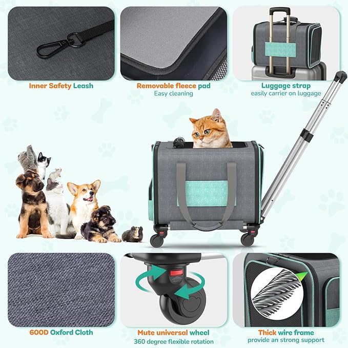 Cat Carrier with Wheels Airline Approved: Betopet Expandable Rolling Dog Carrier for Small Dog Under 25lbs - Cat Soft Carrier Pet Travel Bag TSA Approved Under Seat for Airplane Transport Flight