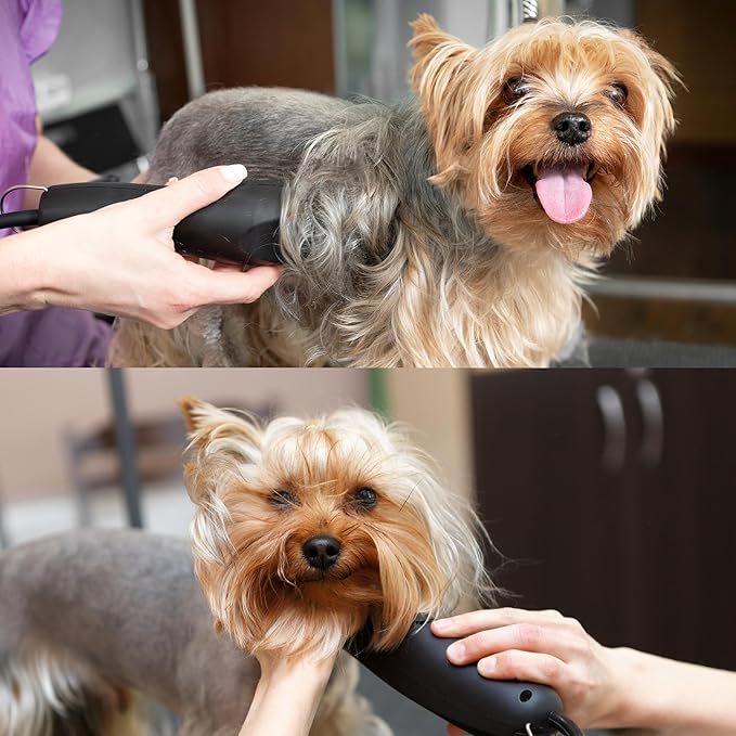 Detachable A Series 3 3/4 Blade Dog Grooming Cut Length 1/2" - 13mm Japanese Carbonized Steel Dog Clipper Supplies | Dog Grooming Blade Compatible A5 Series Clippers for Dogs(3 3/4F)