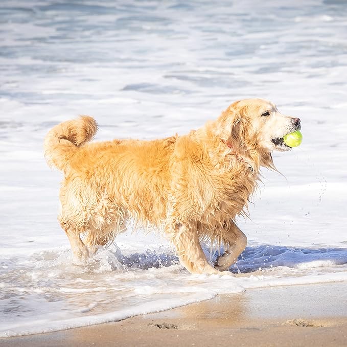 Hyper Pet Dog Tennis Balls - 12 Pack 2.5" for Exercise and Fetch; Interactive Toys; Great for Small Breeds