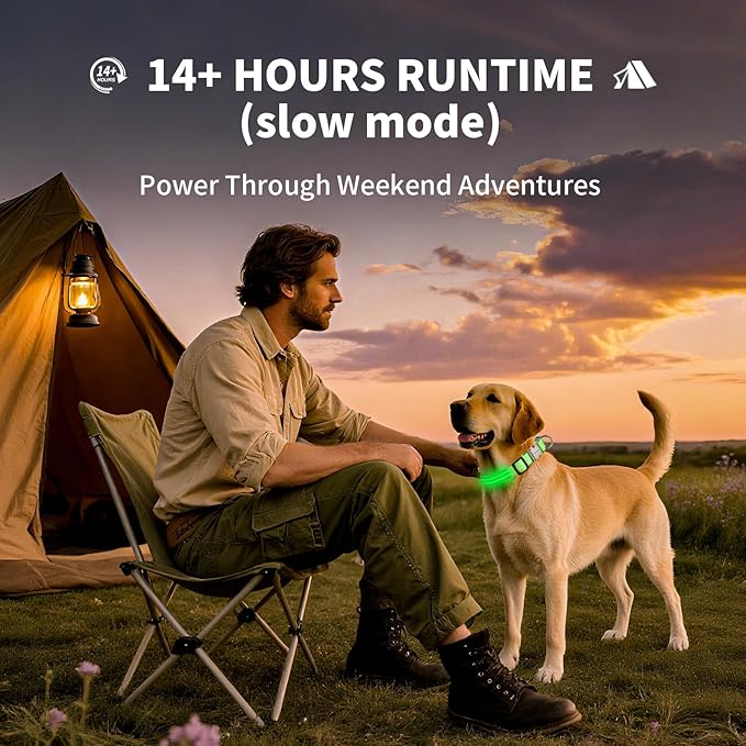 LED Dog Collar with Metal Buckle - USB Rechargeable Glow Collar for Dogs, Waterproof Light Up Dog Collar w/Reflective Strips - Adjustable Night Safety Collars by PetIsay(Green,Large)