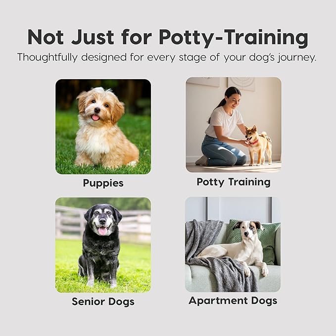 IRIS USA Dog Pee Pads – Puppy Essentials, Dog Pads, Quick Dry, Leak Proof, Thick Absorbent 6-Layer Design for Potty Training, Regular Size 22" x 22", 100 Count