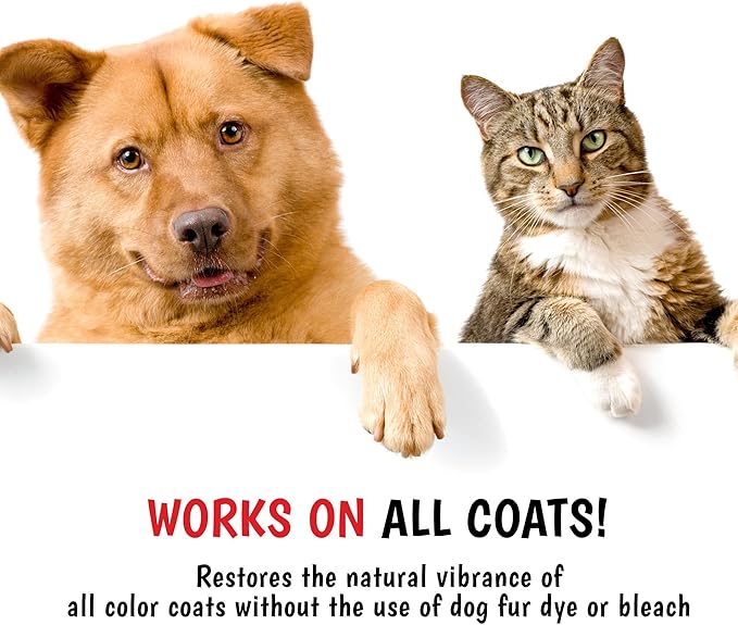 Warren London - Magic Bright Dog Shampoo, Whitening Shampoo for White Dogs & Lighter Dog Coats, Grooming Supplies are Puppy and Cat Safe, Cherry Blossom Scent, 128 Ounce, Made in USA