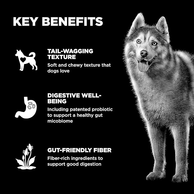 Go! Solutions Digestion + Gut Health - Salmon Dog Treats - Soft and Chewy Dog Treats, 6 oz Bag