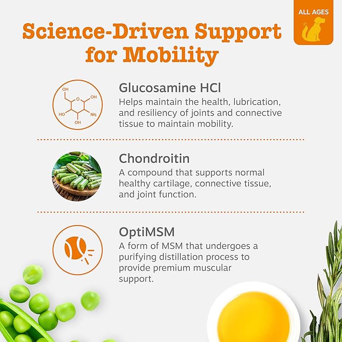 Zesty Paws Hip and Joint Supplement for Dogs - Glucosamine with Chondroitin, MSM, Vitamins C and E Dog Joint Relief - Mobility Bites Duck – 90 Count