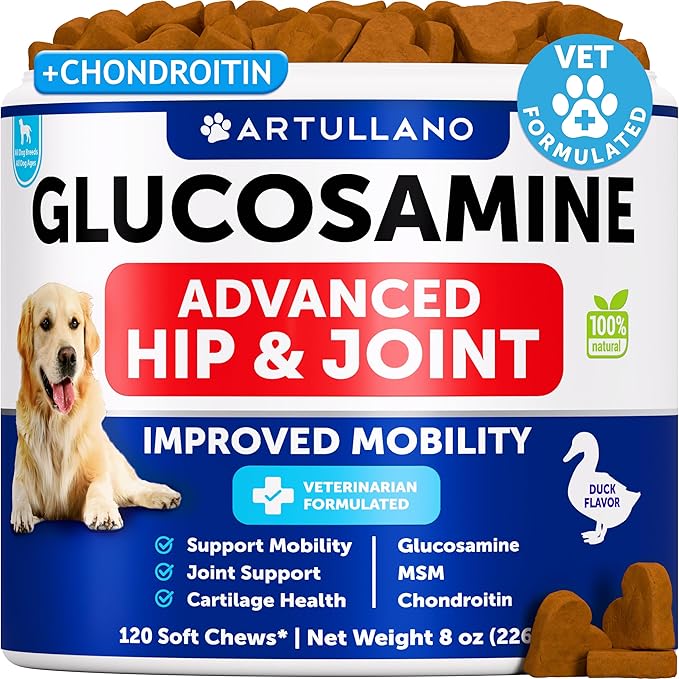 Glucosamine for Dogs - Hip and Joint Supplement for Dogs with Arthritis - Chews with Chondroitin, Hemp Oil, MSM - Canine Joint Pain Relief Health - Mobility Support for Large Breeds - 120 Soft Treats