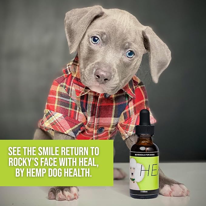 HEAL - Hemp Oil for Dogs - Comfort for Challenging Conditions & Neurological Well-Being Support - Add to Gums or Directly to Food - 100% Natural Drops