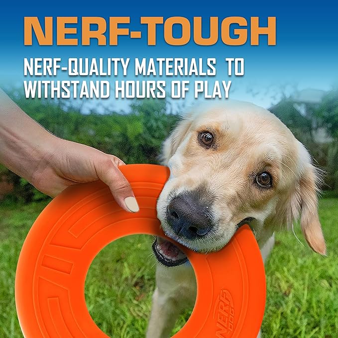 Nerf Dog Atomic Flyer Outdoor Dog Toy, 10 Inch Flying Disc Dog Fetch Toy, Rubber Dog Toy for Medium Dogs and Large Dogs, Orange