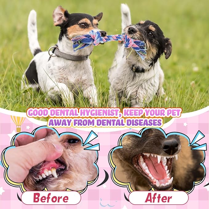 Syhood 48 Pcs Dog Toys Bulk Chew Ropes Dental Cotton Teething 2 Knot Tug of War Toy for Aggressive Chewers Small and Medium Dogs Puppies