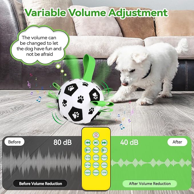 QDAN Interactive Dog Toys Balls: Automatic Rolling Dog Toys to Keep Them Busy, Remote Control, Rechargeable Pet Enrichment Toy for Boredom, Squeaky Puppy Toy for Small Medium