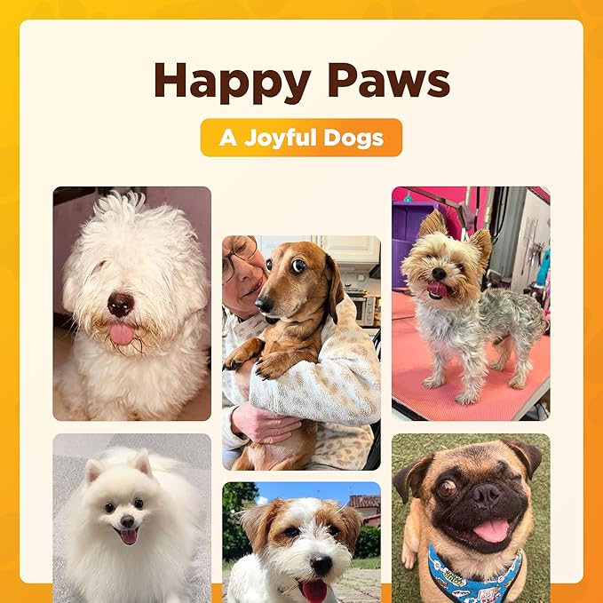 Honey & Oatmeal 16.9 oz Pet Shampoo for Dogs, Soothing Natural Formula with Colloidal Oatmeal, Aloe & Honey - Relieves Itchy Dry Skin, No Sulfates or Parabens, Gentle, Chamomile Scented