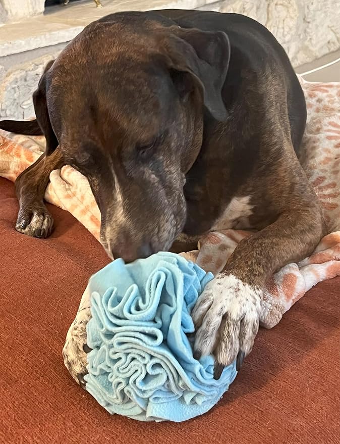 Medium Breed Snuffle Interactive Foraging Dog Puzzle Ball Toy Blue Large