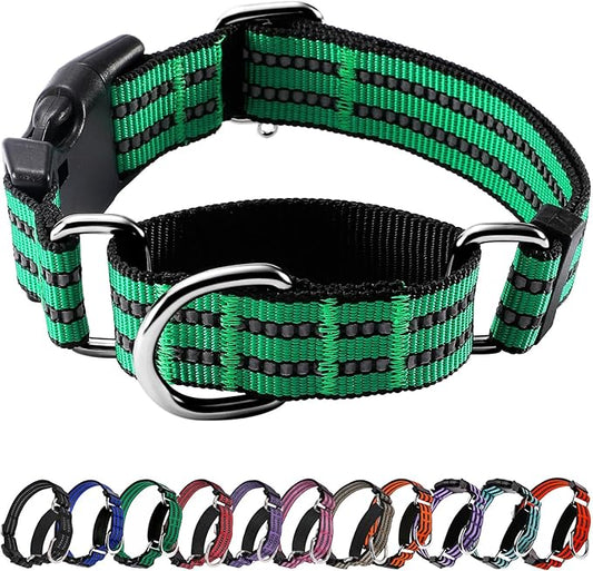 Hikiko Martingale Dog Collars Reflective Nylon Dog Collar with Quick Release Buckle Adjustable Training No Slip Dog Collar (Medium, Green)