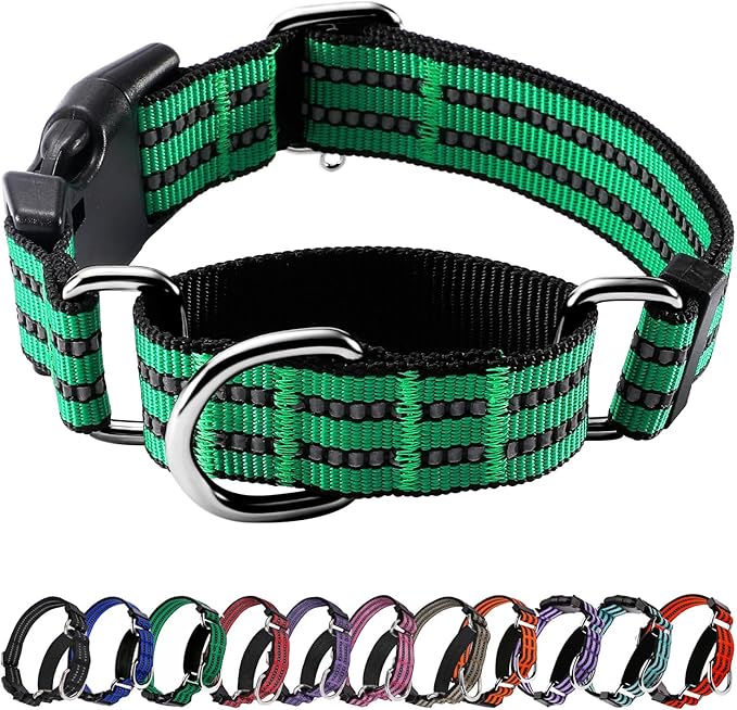 Hikiko Martingale Dog Collars Reflective Nylon Dog Collar with Quick Release Buckle Adjustable Training No Slip Dog Collar (Large, Green)