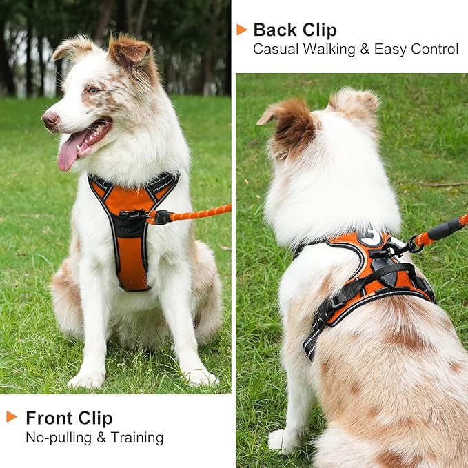 Taglory Light Up Dog Harness, Rechargeable No Pull Dog Vest with 3 Lightning Modes, Reflective Dog Harness with 2 Leash Clips & 4 Adjustable Slide Strips for Small Dogs, Orange-Orange, S