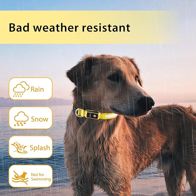 PcEoTllar Light up Dog Collar for Night Walking - LED Dog Collar Light Rechargeable Color Changing, Glow in The Dark Dog Collars Waterproof Glowing Dog Collars for Large Small Medium Dogs