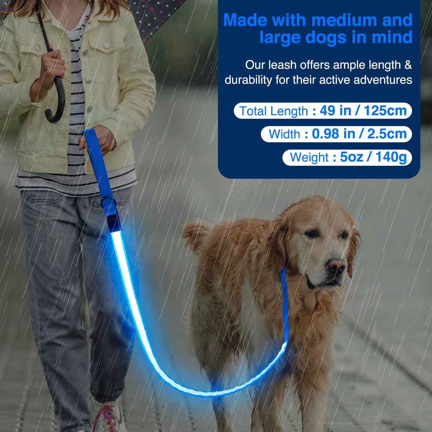 PZRLit LED Light Up Dog Leash - 4 Ft USB Rechargeable Reflective Nylon Leash with Padded Handle - Flashing Luminous Glow Leashes for Large Medium Pets Night Safety Walking-Blue