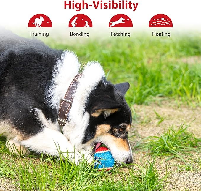 GiGwi Squeaky Tennis Balls for Dogs - High Bouncy, Bright Colors, 2.5 Inches, Interactive Fun Toys for All Breeds, Indoor & Outdoor Play, 5 Pack