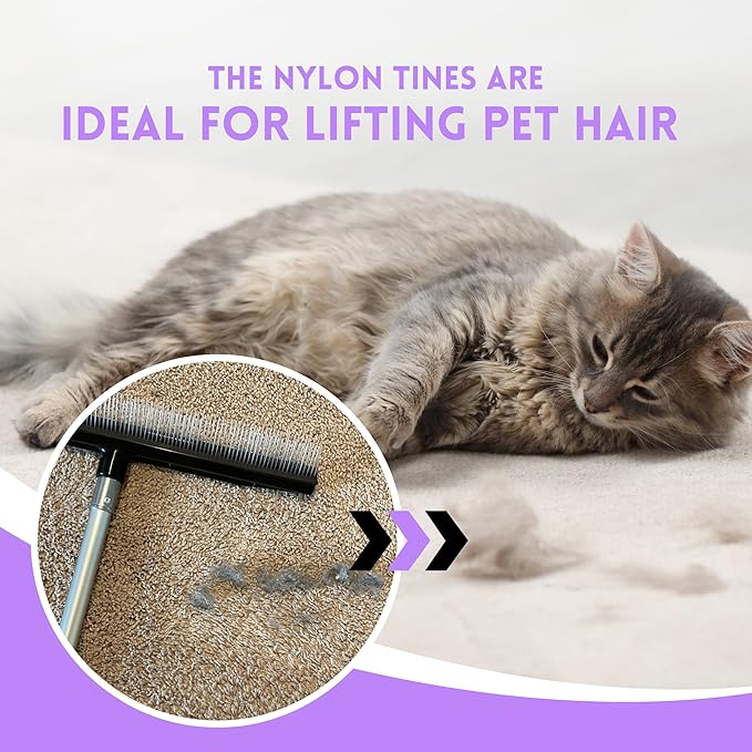 Room Groom PET Carpet Rake and Groomer with Telescoping 54 Inch Adjustable Handle, Rugs, and Artificial Turf, Purple Grip, Black/Purple