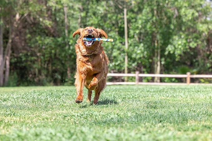 Chuckit! EcoFetch Fetch Stick Dog Toy, Pack of 1, for All Breed Sizes (EcoFetch Stick)