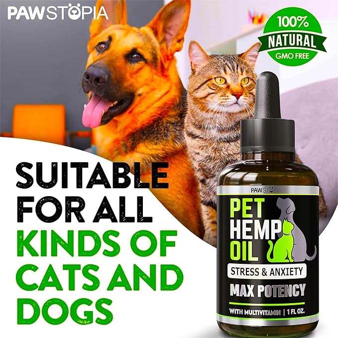 (2 Pack) Hemp Oil for Dogs and Cats - Helps Pets with Anxiety, Pain, Stress, Sleep, Arthritis, Seizures Relief - Cat Anxiety Relief - Omega 3-6-9 - Pet Hemp Oil Drops Treats - Hip and Joint Support
