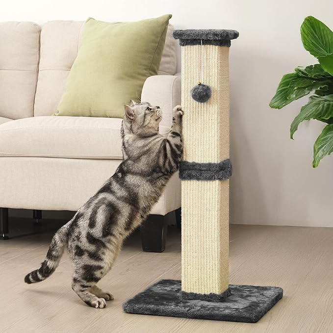 Indoor Cat Scratching Post: 32 in Tall Cat Scratcher with Natural Sisal Rope, Kitty Pet Tower with Sturdy Wood Base and Hanging Ball Toy, Great Gift for Small and Large Kittens, Grey