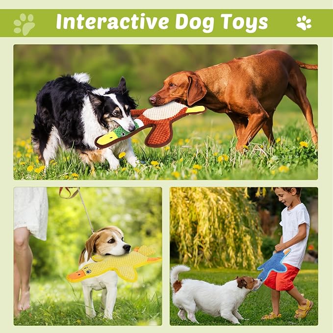 Dog Toys 3-Pack Cute Duck Shapes Puppy Toys No-Stuffing Squeaky and Crinkle Interactive Dog Chew Toy for Small to Large Breeds