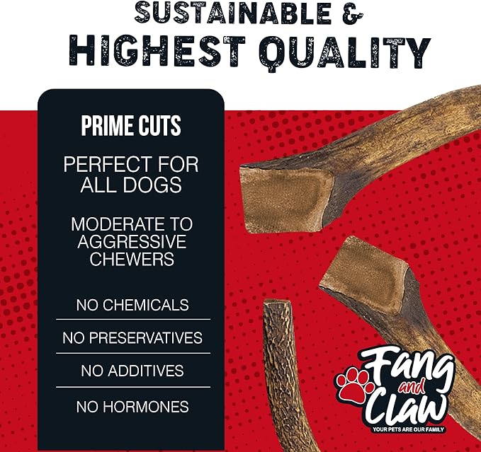 Fang & Claw Grass-Fed Deer Antlers for Dogs – 5-6" Antler Chews, 7-Pack – Long-Lasting Dog Chews for All Dogs & Aggressive Chewers