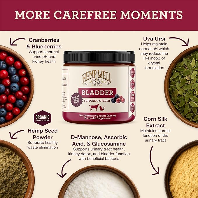 Hemp Well Bladder Support Powder - Urinary Health Support for Dogs & Cats, 2.11 oz. (2 Pack)