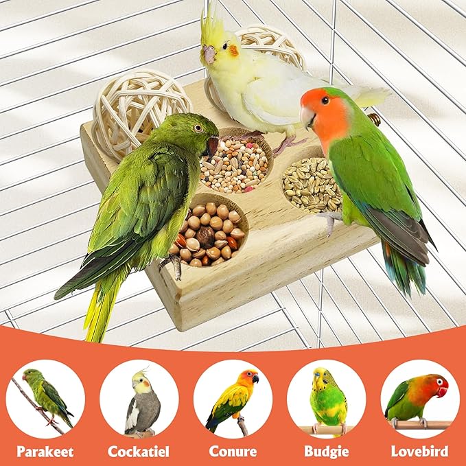 Hamiledyi 2 Pack Wooden Foraging Bird Toys - Interactive Slow Feeder Enrichment for Conures, Budgies and Lovebirds | Cage Climbing Puzzle Toys for Small Parrots Promoting Natural Pecking Behavior