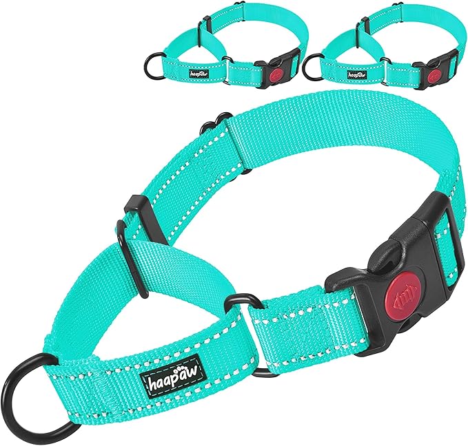 haapaw 2 Packs Martingale Dog Collar with Quick Release Buckle Reflective Dog Training Collars for Small Medium Large Dogs