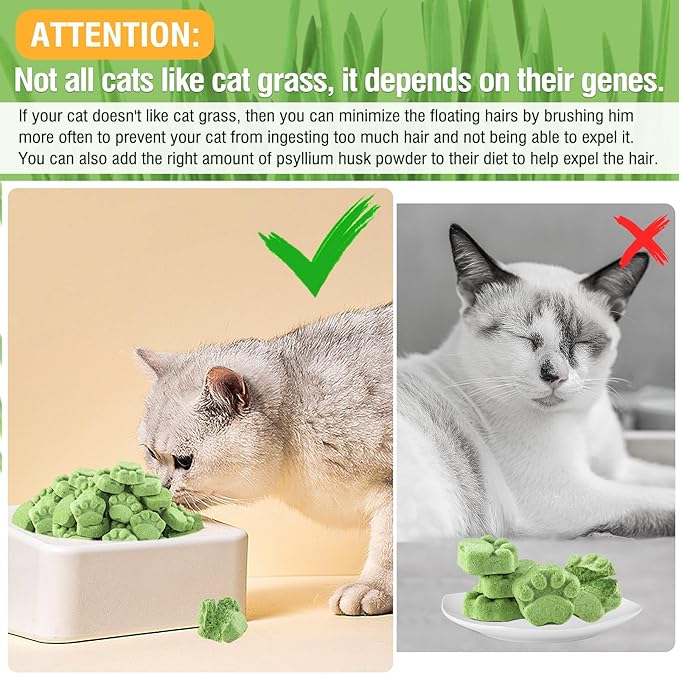 Freezed Drying Cat Grass Treats, Cat Grass Teething Sticks Cats Snacks for Hairball Removal and Dental Care