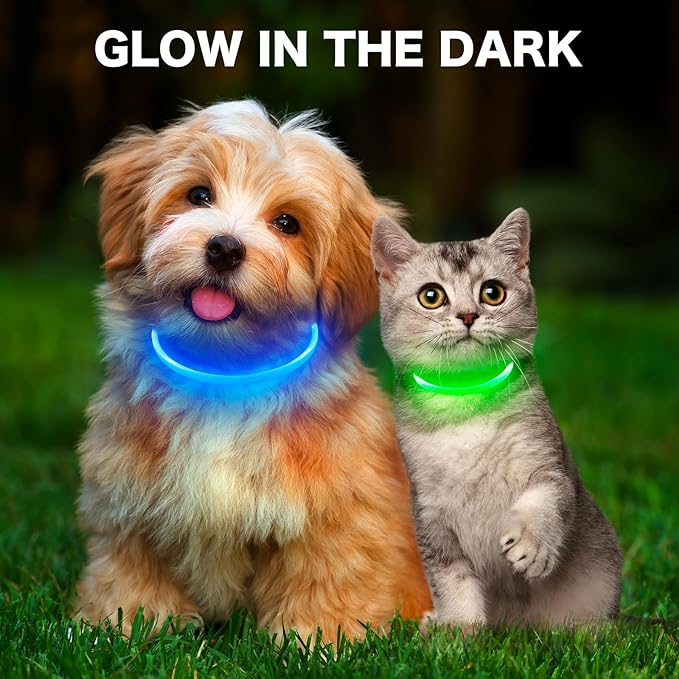 BSEEN Light Up Dog Collar - Rainproof Rechargeable LED Dog Collar - TPU Cuttable Glowing Pet Collar for Small Dogs& Cats - Puppy Safety Dog Lights for Night Walking (XS- Green 40cm)
