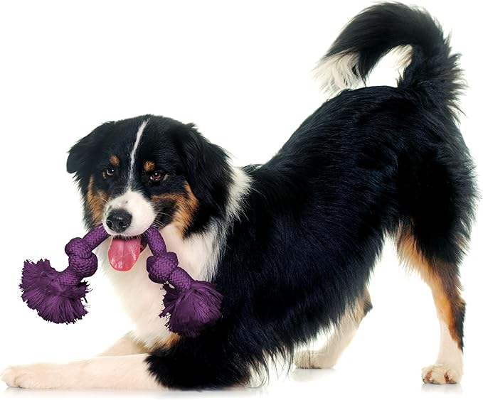 Playology Rope Toys for Dogs | Tug of War Dog Toy for Aggressive Chewers | Bacon Scented Dog Toys | Medium Rope Toy for Interactive Play