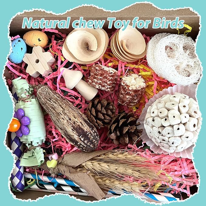 Large Bird Foraging Toy - Natural Shreddable Chew Toys Box for Conures, Cockatiels, Lovebirds & Budgies | Enrichment Activity with Colorful Textures (for Small-Medium Birds)