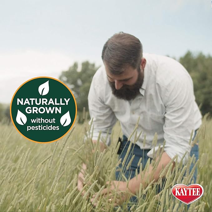 Kaytee Timothy Hay Plus Spearmint/Marigold/Carrot 3 Flavor Variety Pack for Pet Guinea Pigs, Rabbits & Other Small Animals, 60 Ounce (Pack of 1)