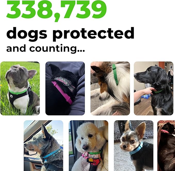 FurLife Flea and Tick Collar for Dogs – Waterproof Grey Dog Collar, Pet Supplies for Tick and Flea Prevention for Dogs, Safe for All Breeds