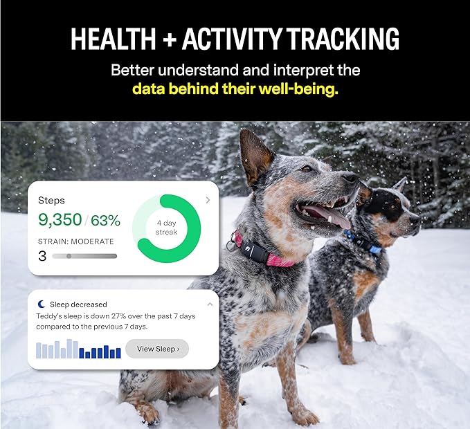 Fi Series 3 Smart Dog Collar - GPS Dog Tracker and Activity & Health Monitor, Waterproof, LED Light, Escape Alerts, Nationwide Coverage [Free 1 Year Membership] (Yellow, Large)