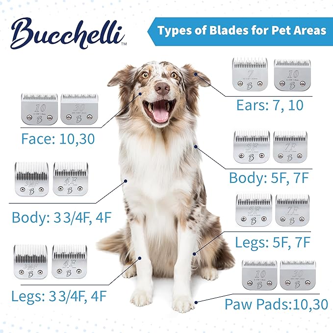 Detachable A Series 3 3/4 Blade Dog Grooming Cut Length 1/2" - 13mm Japanese Carbonized Steel Dog Clipper Supplies | Dog Grooming Blade Compatible A5 Series Clippers for Dogs(3 3/4F)