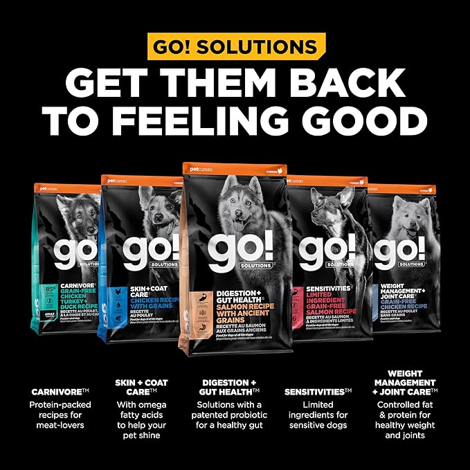 Go! Solutions Digestion + Gut Health - Salmon Dog Treats - Soft and Chewy Dog Treats, 6 oz Bag