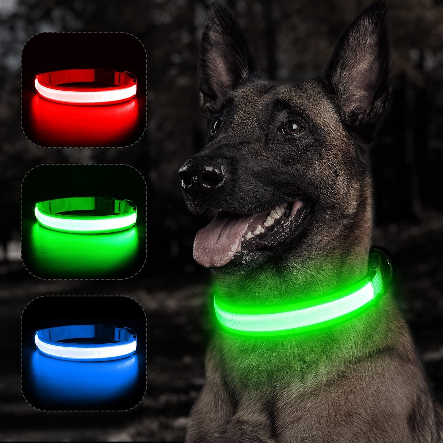BSEEN Light Up Dog Collar, Rechargeable LED Dog Collar Reflective Pet Glow Collar Dog Lights for Night Walking (Neon Green, Medium)